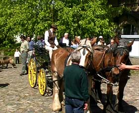 Kutschen und Pferde im Landesmuseum